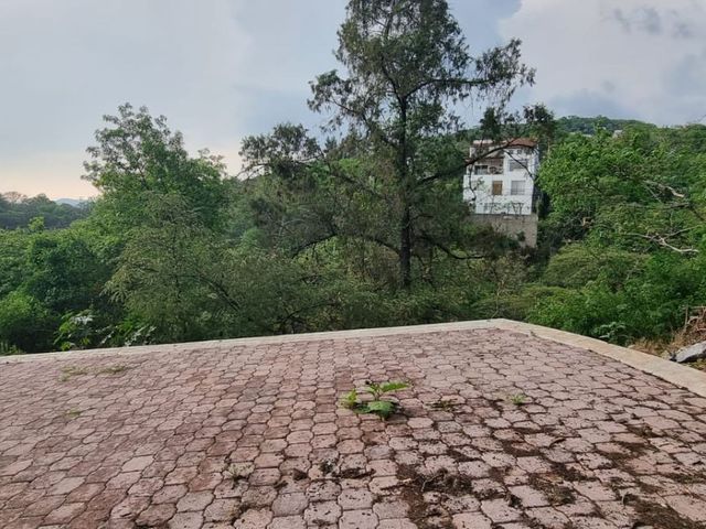 place photo 38