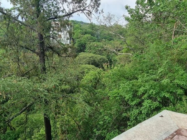 place photo 40