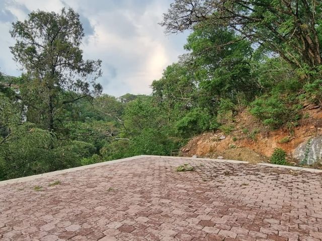 place photo 41