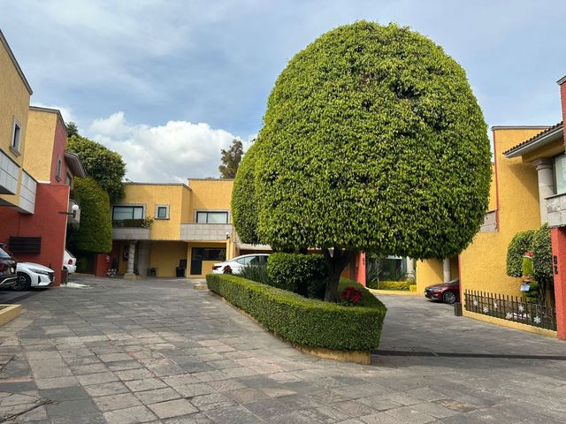 place photo 40
