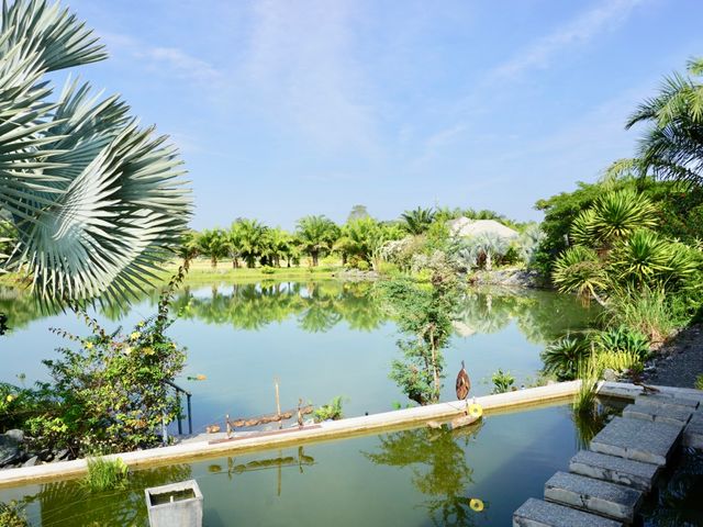 place photo 31