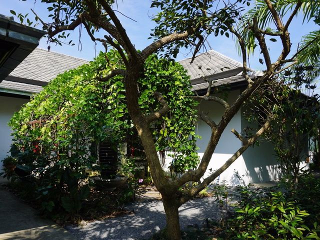 place photo 36