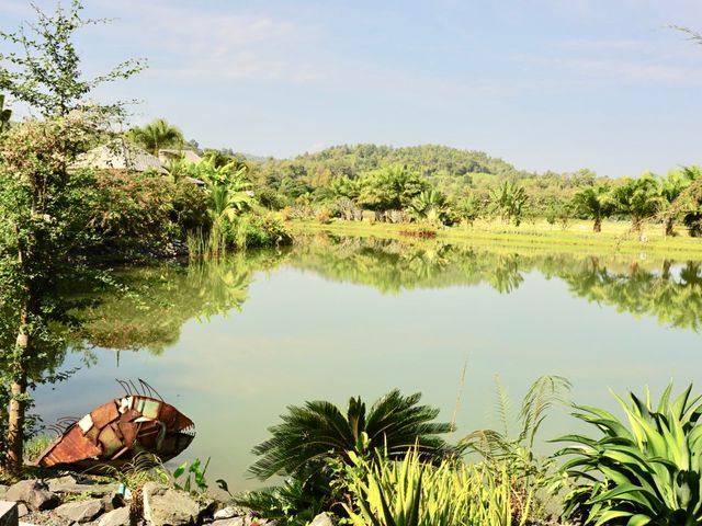 place photo 41