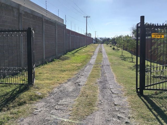 place photo 23