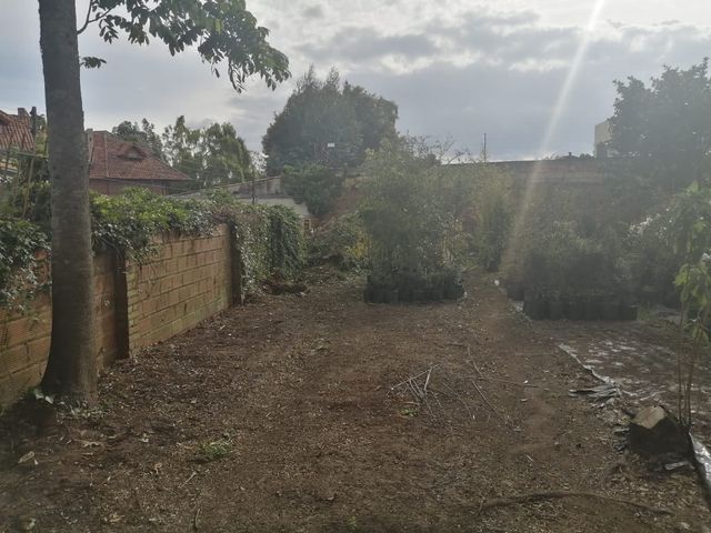 place photo 42