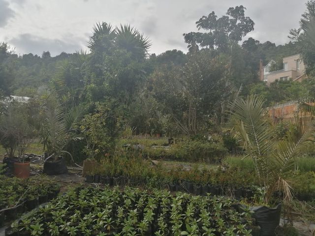 place photo 41
