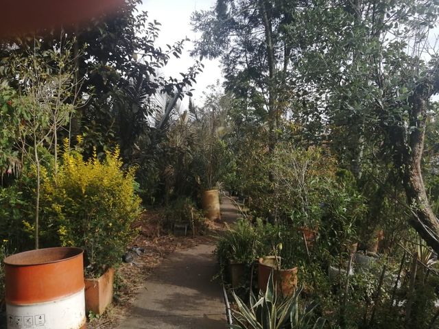place photo 46