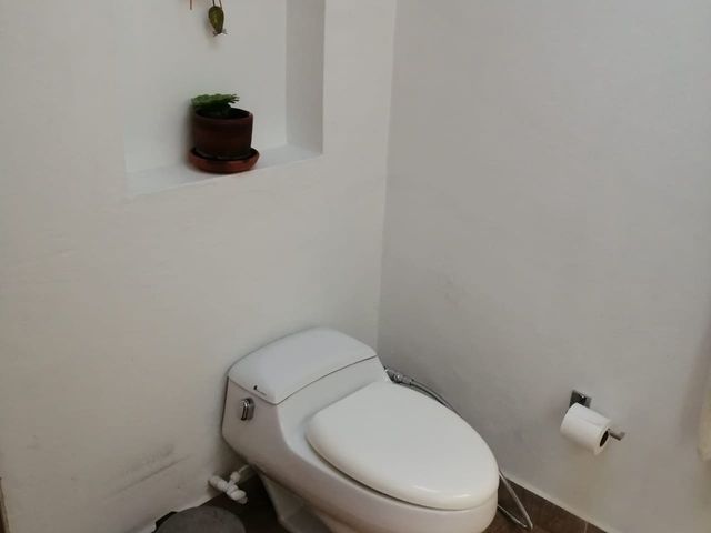place photo 40