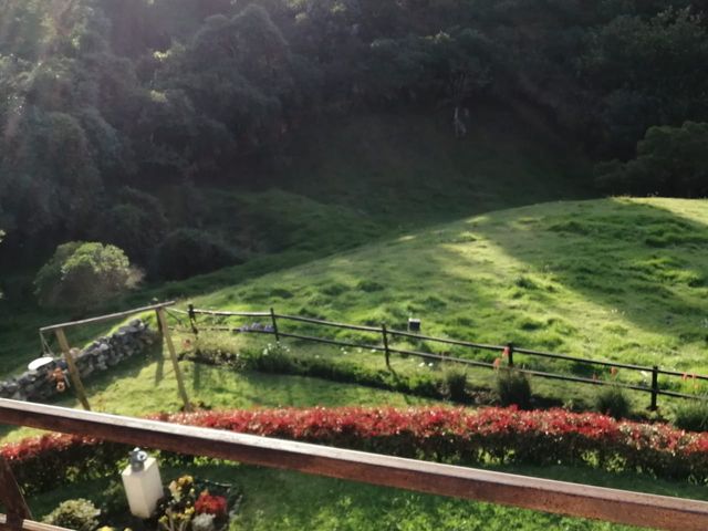 place photo 44