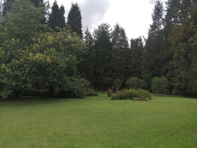 place photo 69