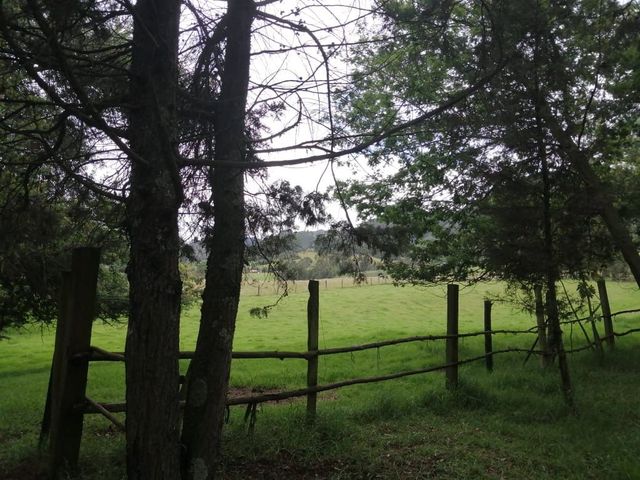 place photo 71