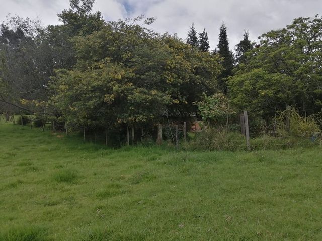 place photo 73