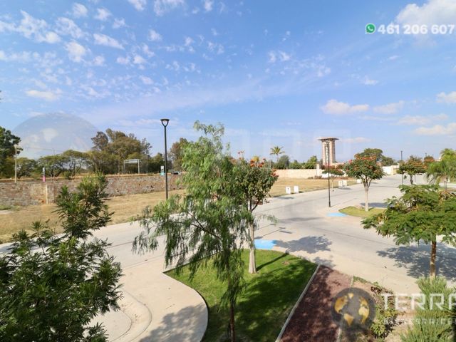 place photo 42
