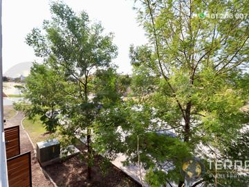 place photo 45