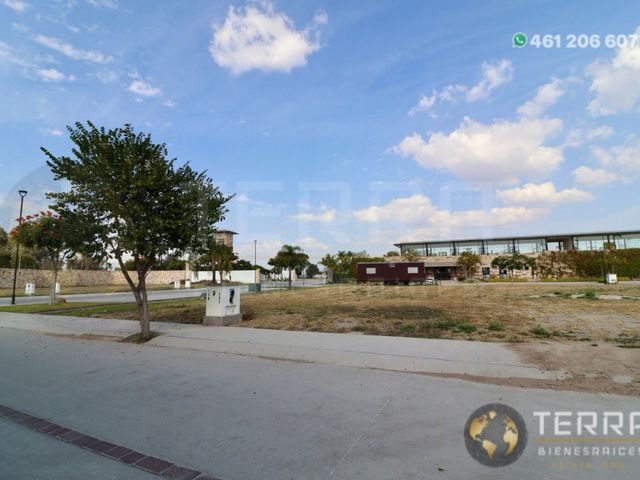 place photo 74