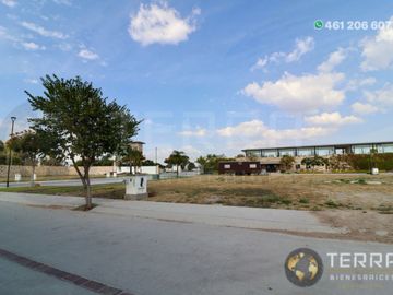 place photo 74