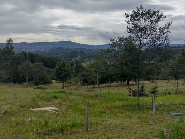 place photo 36