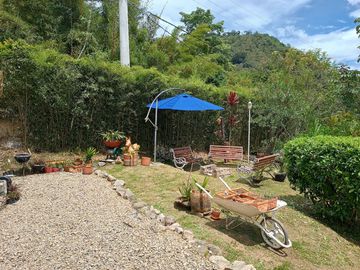 place photo 26