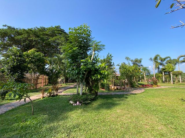 place photo 38