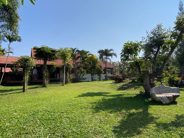 place photo 40