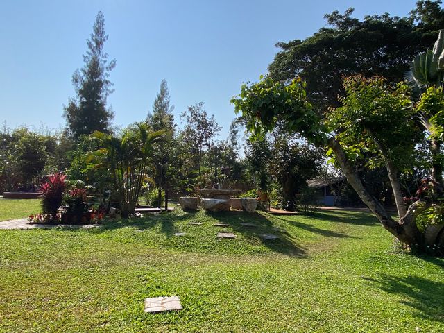 place photo 42