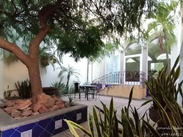 place photo 44