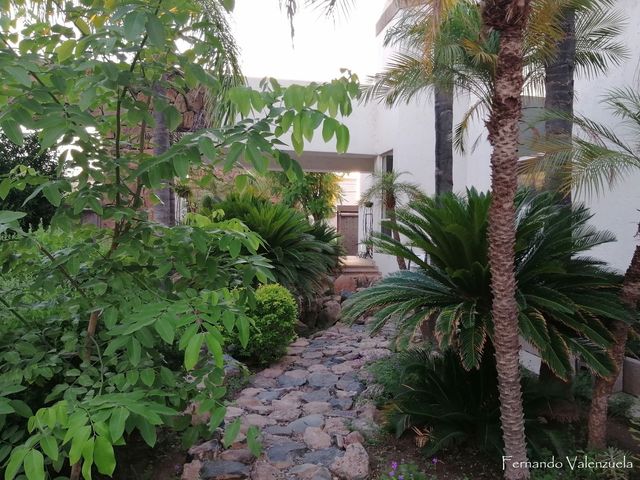 place photo 43