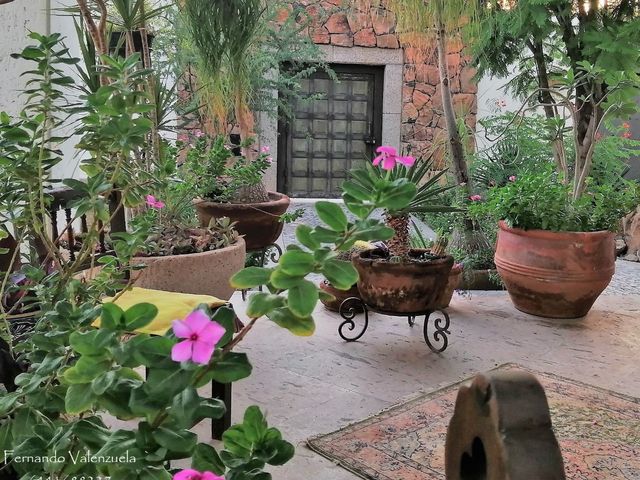 place photo 45