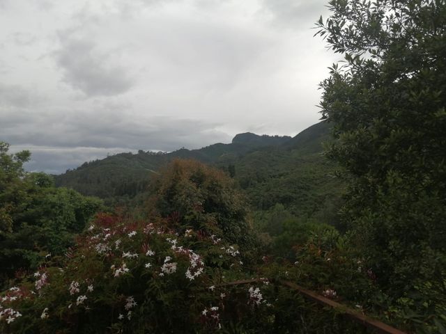 place photo 56