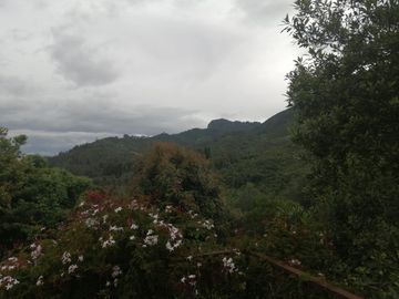 place photo 56