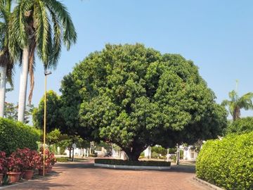 place photo 21