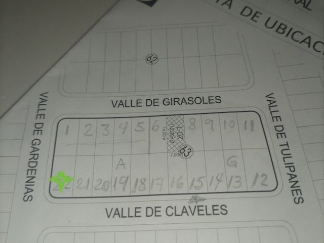 place photo 19