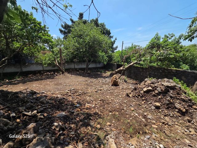 place photo 34