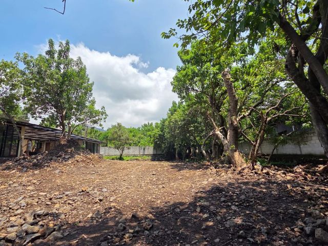 place photo 36