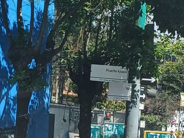 place photo 25