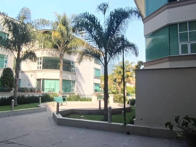 place photo 48