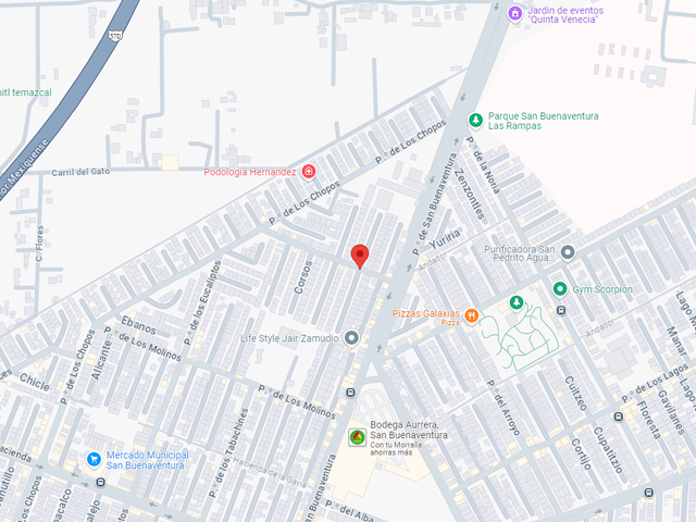 place photo 7