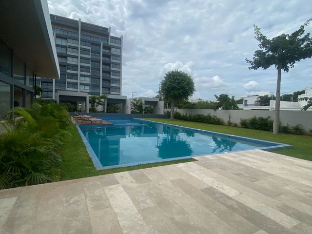 place photo 48