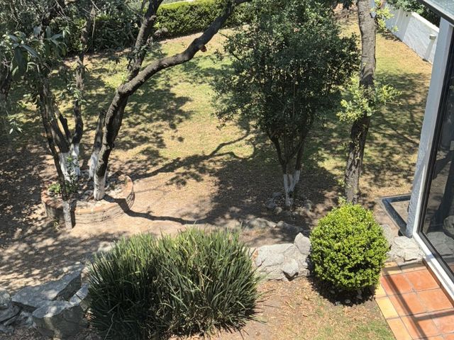 place photo 39