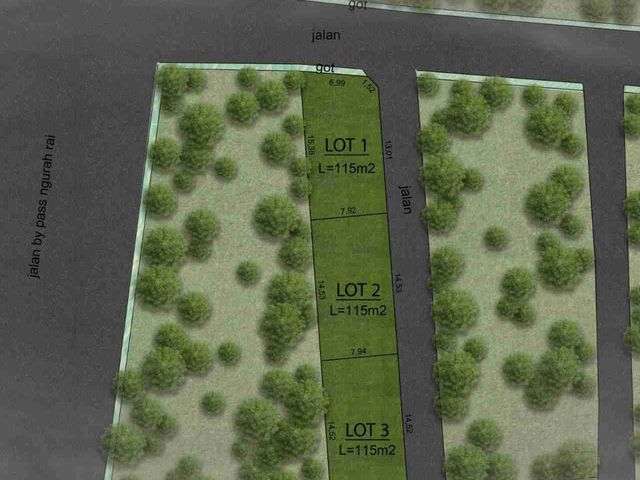 place photo 4