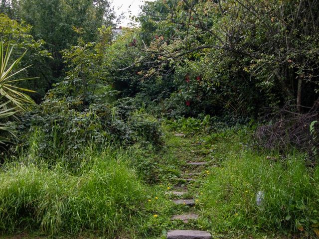 place photo 39