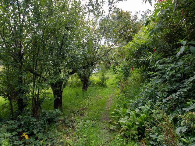 place photo 40