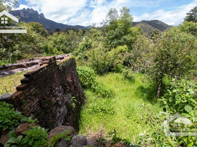 place photo 44