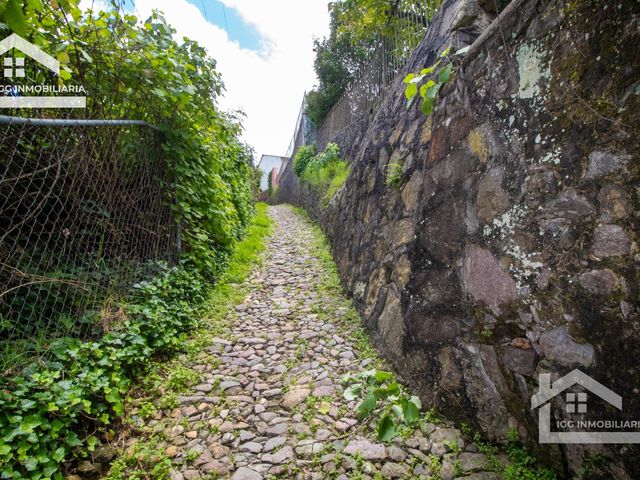 place photo 46
