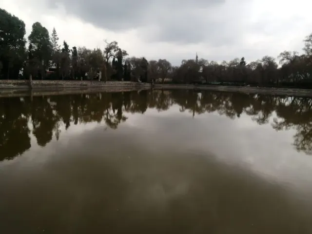 place photo 22