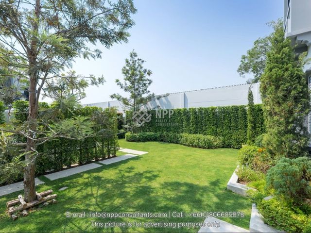 place photo 17