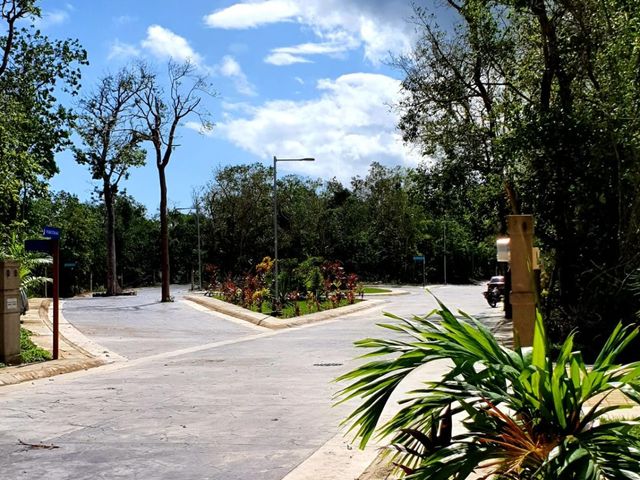 place photo 23