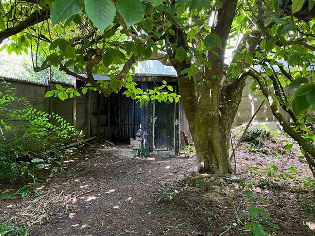 place photo 15