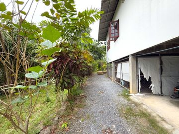 place photo 39
