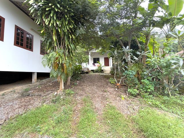 place photo 41